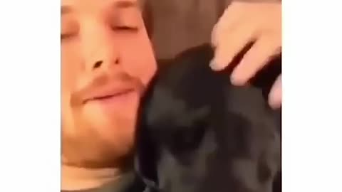 That part in dogs 4😂😁😂😁
