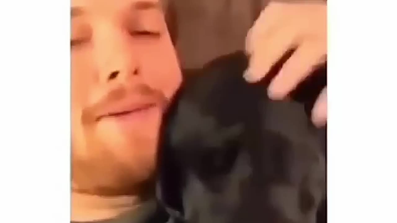 That part in dogs 4😂😁😂😁