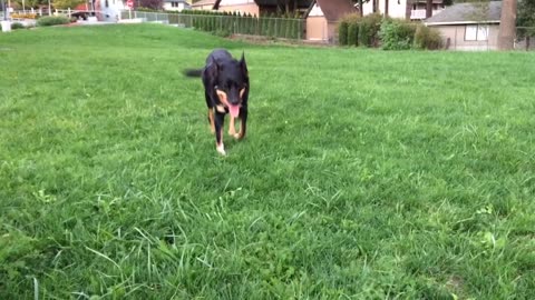 hanging at the park