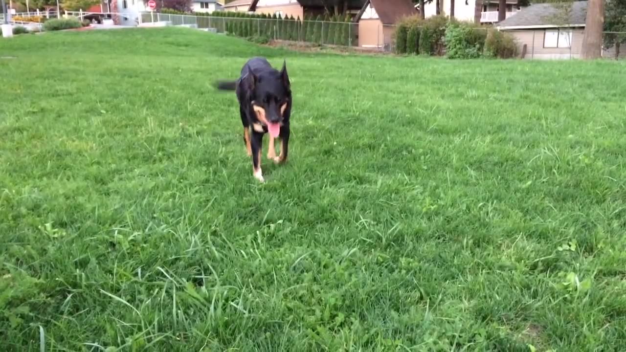 hanging at the park
