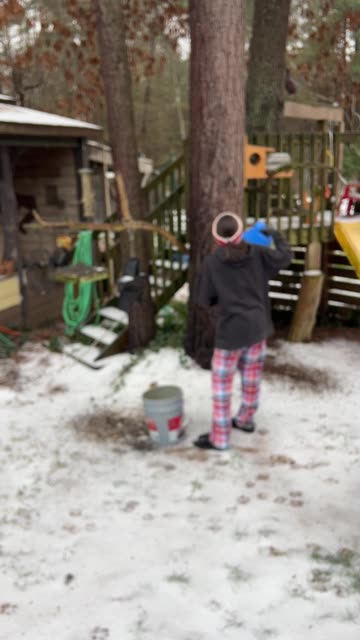 Song Birds want Snacks Too