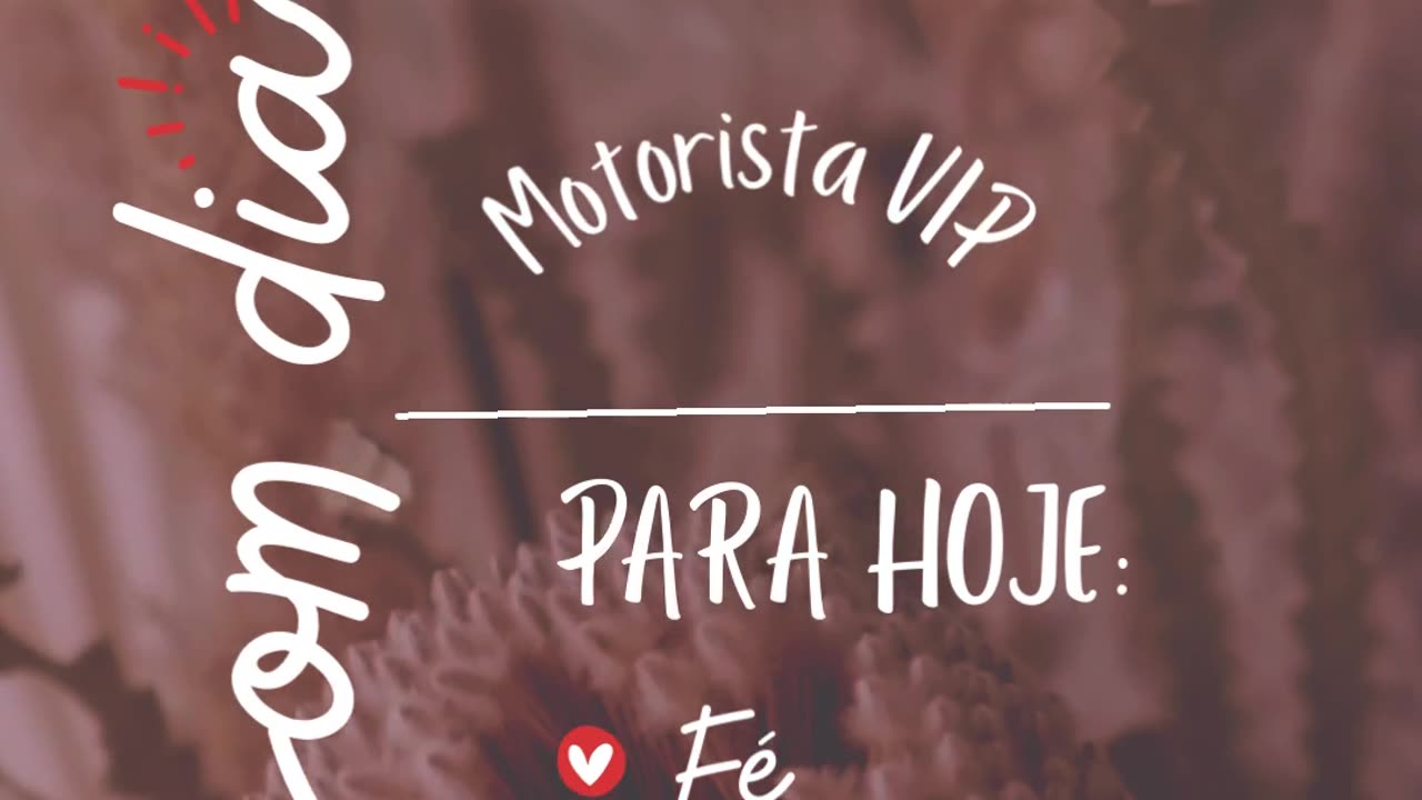 Motorista VIP