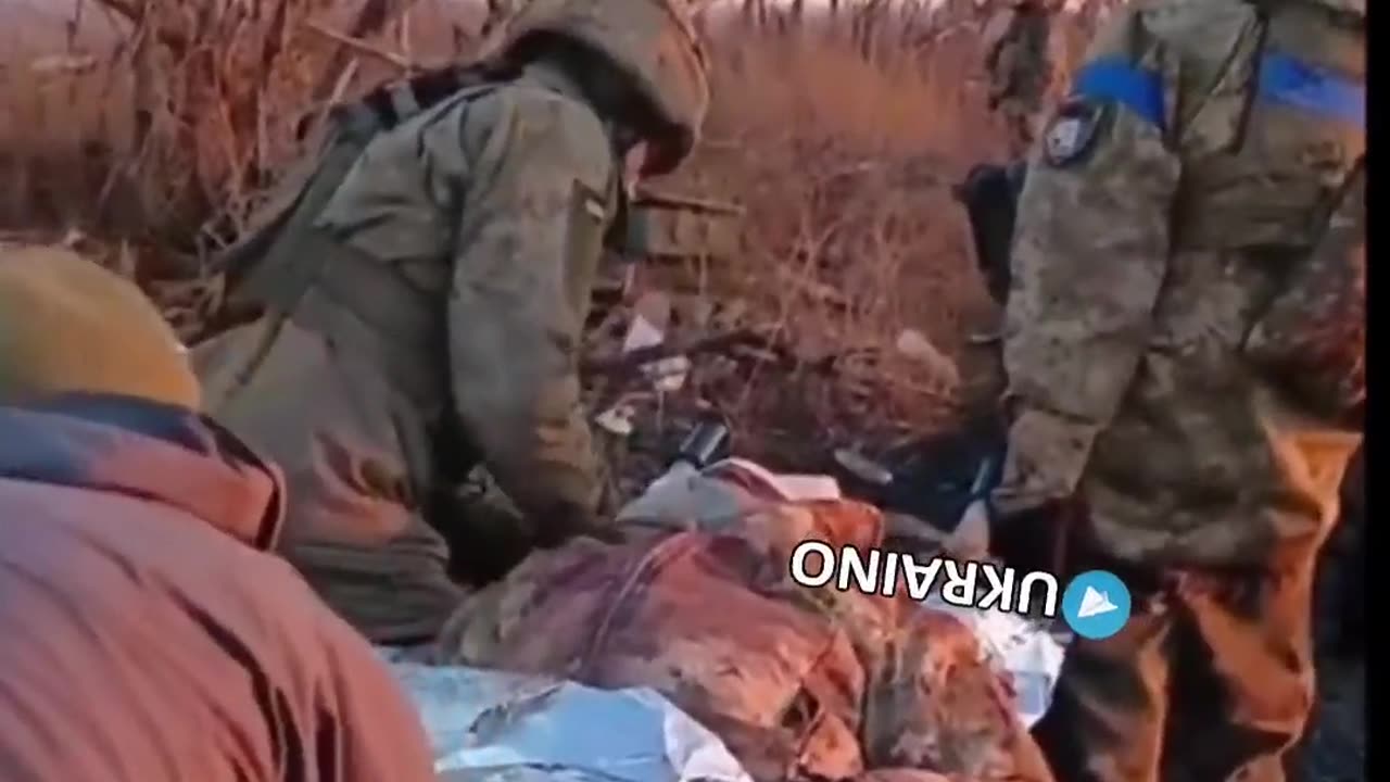 500 faggots are running away with the half-dead