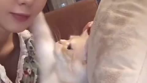 Naughty Kitties
