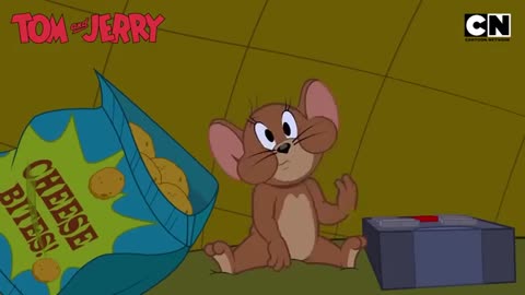 Tom and Jerry cartoon