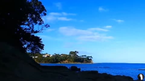 Waiake Beach Auckland New Zealand Tour