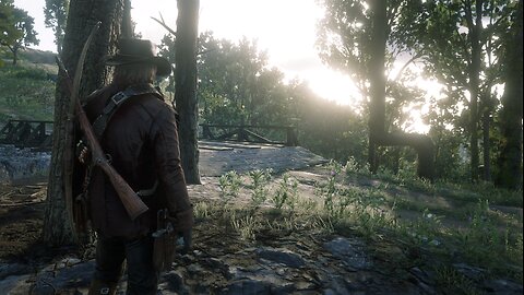 Red Dead Redemption II - Storyline