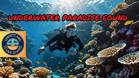 Did We Just Find A Secret Marine Life Paradise?