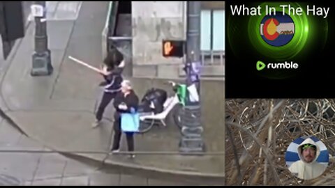 ELDERLY WOMAN'S EYE GOUGED by REPEAT OFFENDER, WHEN WILL THE JUDGES BE HELD ACCOUNTABLE