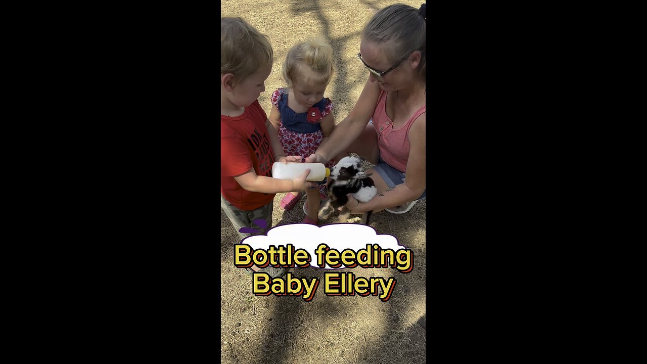Some tiny visitors hobby bottle feed tiny Ellery this morning. #hartlandoaks
