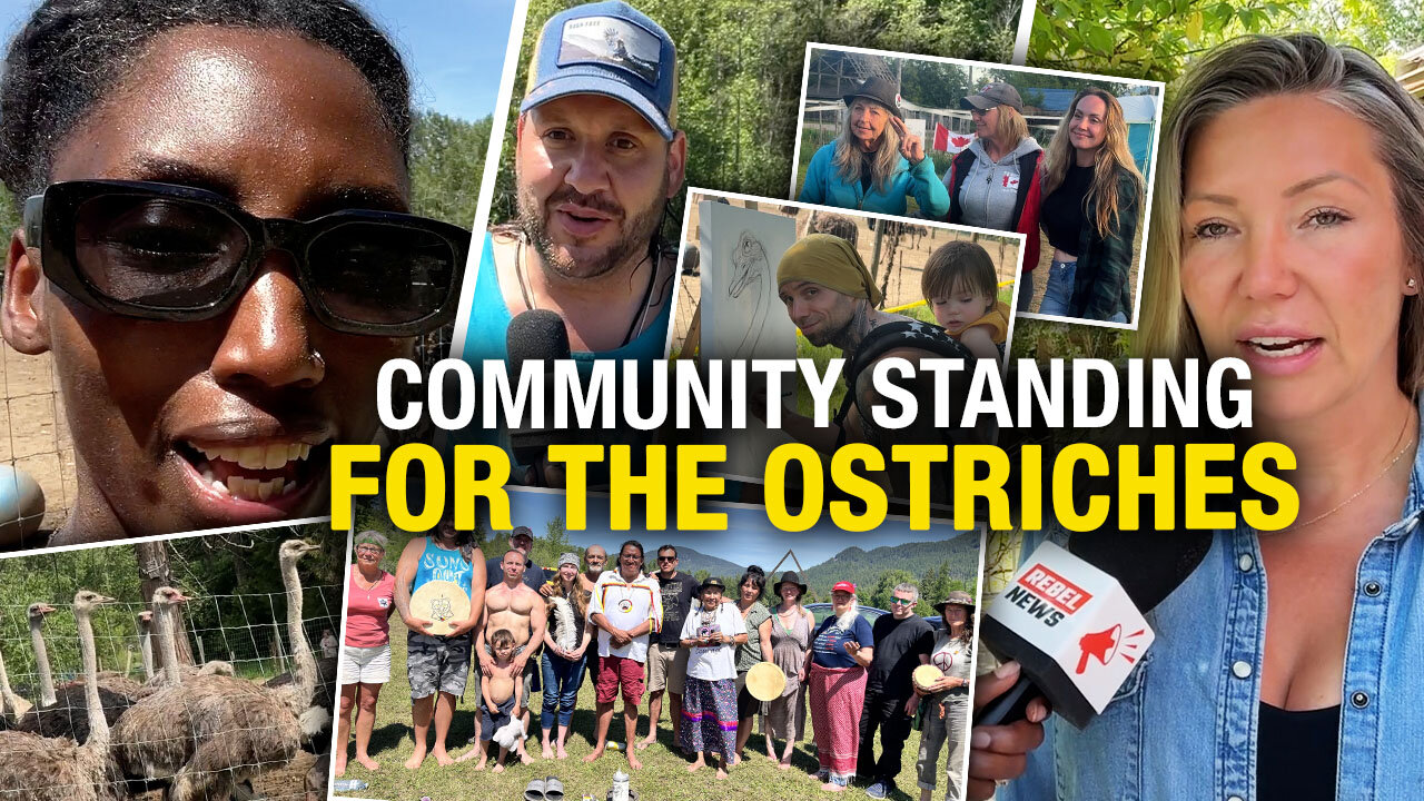 Inside the ostrich farm community defying the CFIA's anti-science cull order