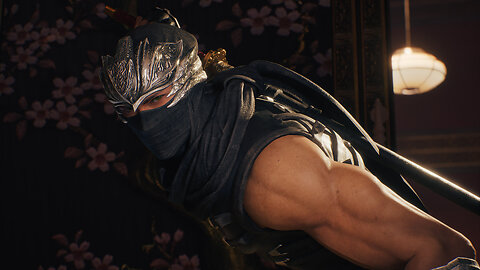 You should play Ninja Gaiden 2 Black