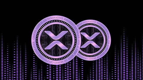 XRP 13 AND 33 !!!! CHANNEL TAKEOVER !!!!