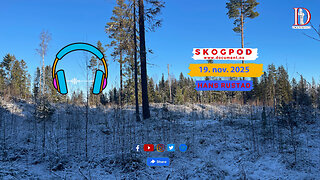 Skogpod 19. november 2025