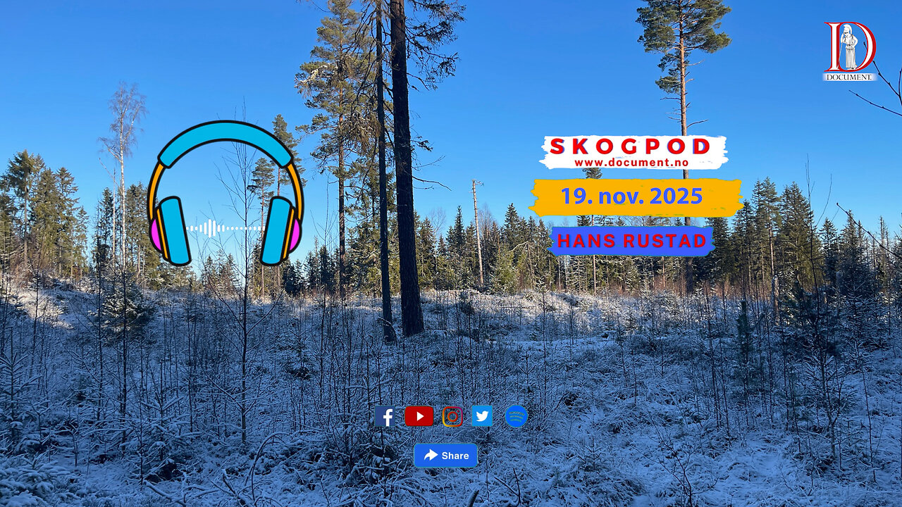 Skogpod 19. november 2025