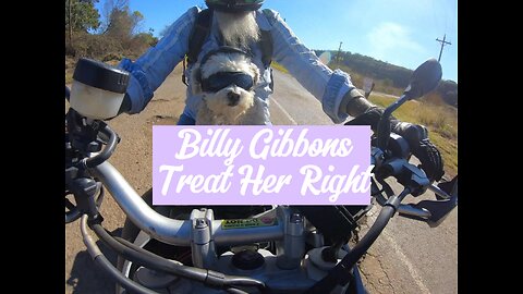 Billy Gibbons_ Treat Her Right