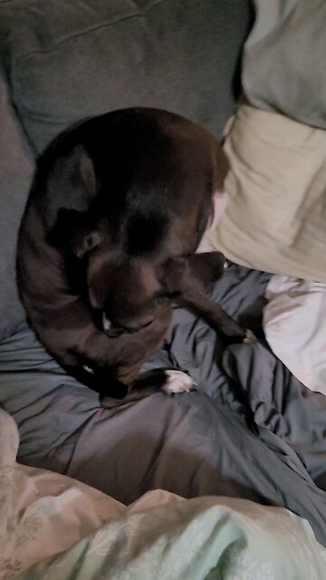 You are the navigator in your life, so choose appropriately!