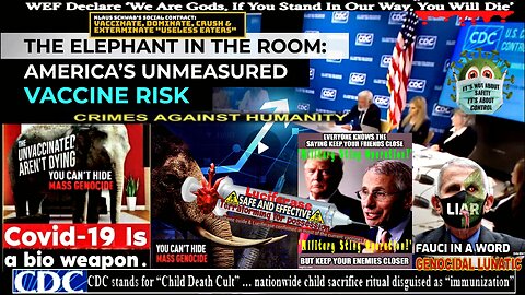 THE ELEPHANT IN THE ROOM: AMERICA’S UNMEASURED VACCINE RISK (compilation version)