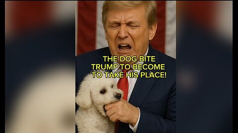 CRAZY DOG BITE TRUMP TO TAKE HIS PLACE