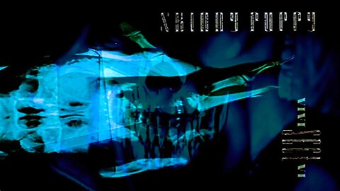 SKINNY PUPPY - Compilation #3: 1987-1988