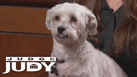Dog Backed out of Collar and Attacked! Best of Judge Judy