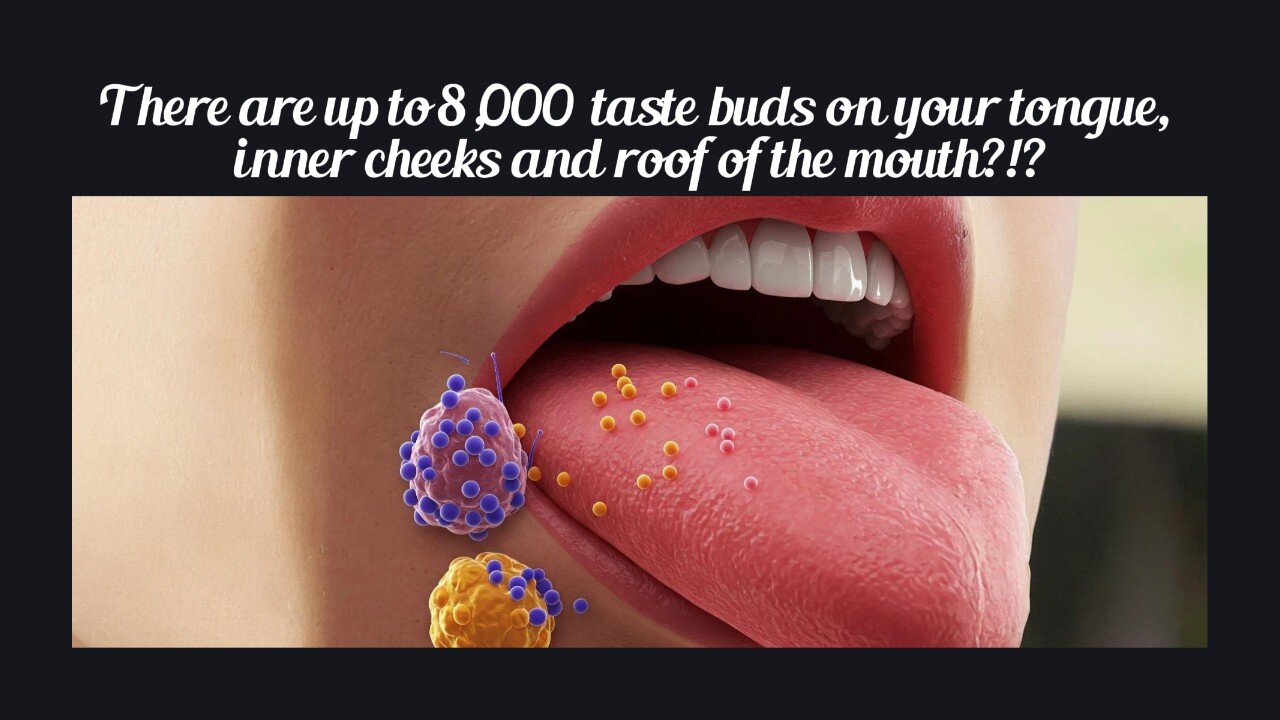 Fun Fact for May 15th 2025 Pt 2