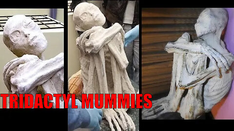 WONDERCAST EP.91- TRIDACTYL MUMMIES (HISTORY, SCIENCE & R.V. DATA): LAW OF ONE BOOK 3 PAGES 103-113 SESSION 65 (WANDERERS/JOBS, PARANORMAL, FREEDOM, PROPHECY & THE PYRAMID)