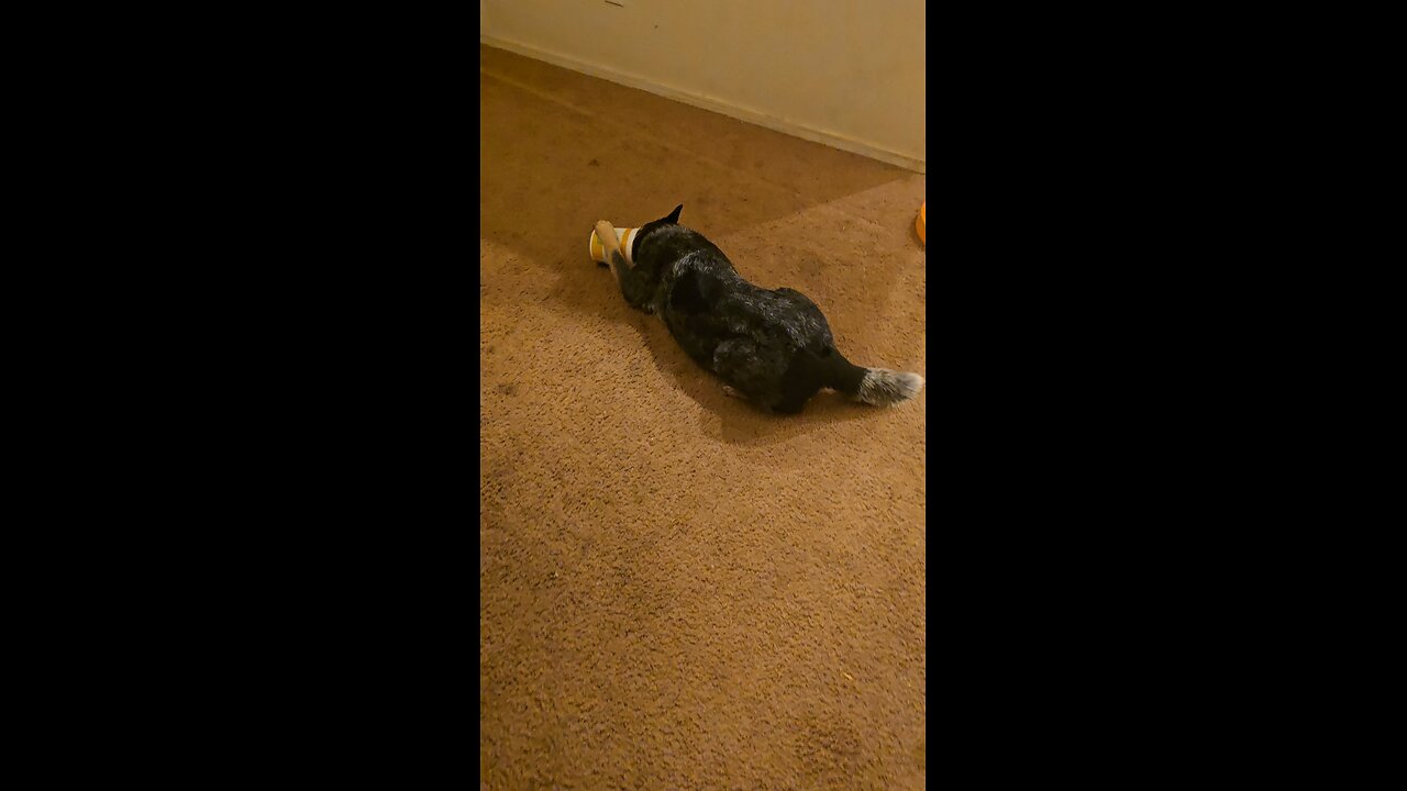 Something On My Nose