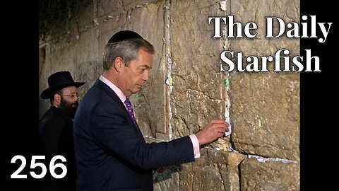 The Daily Starfish #256