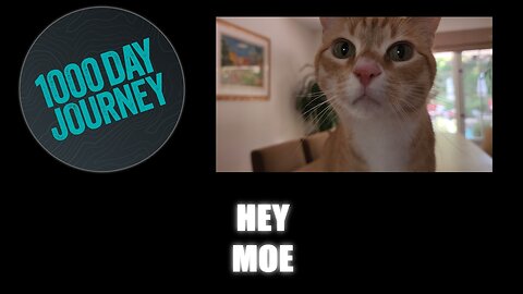 1000 Day Journey 0696 Hey Moe