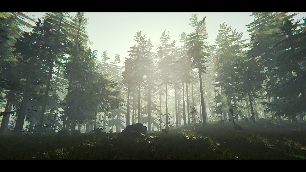 LOST INSIDE OF THE FOREST!!!