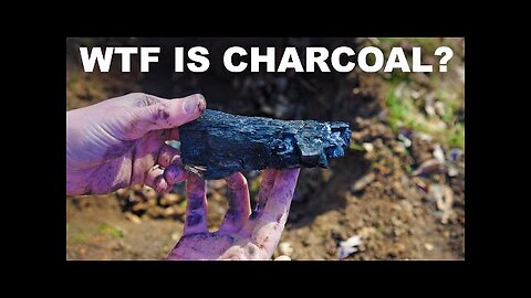 Why charcoal is the first great cooking fuel