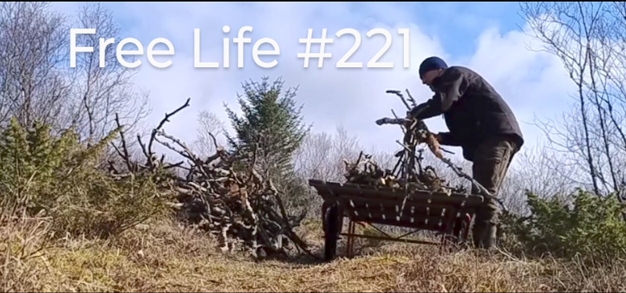 Free Life #221