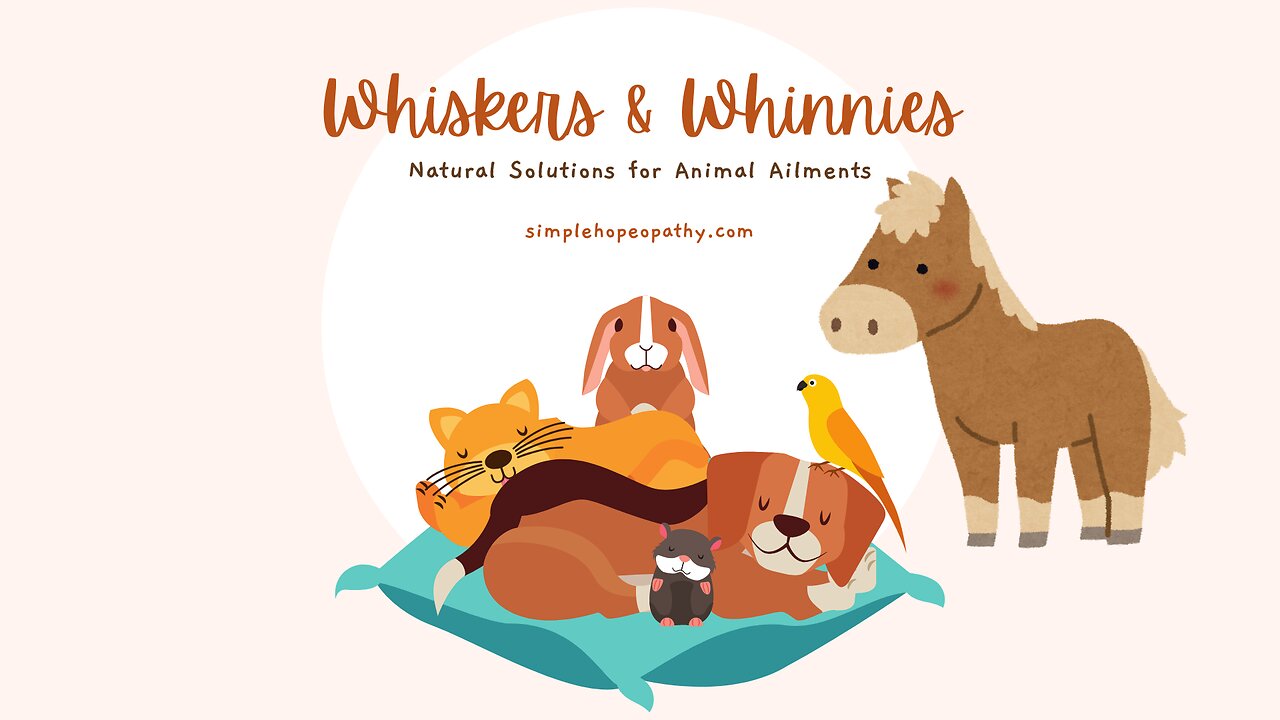 Whiskers & Whinnies: Natural Solutions for Animal Ailments