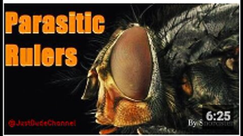 Our Parasitic Rulers _ Snordster