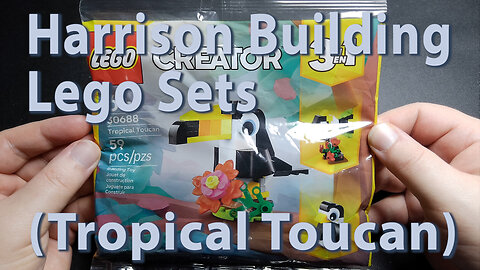 Harrison Building Lego Sets (Tropical Toucan)