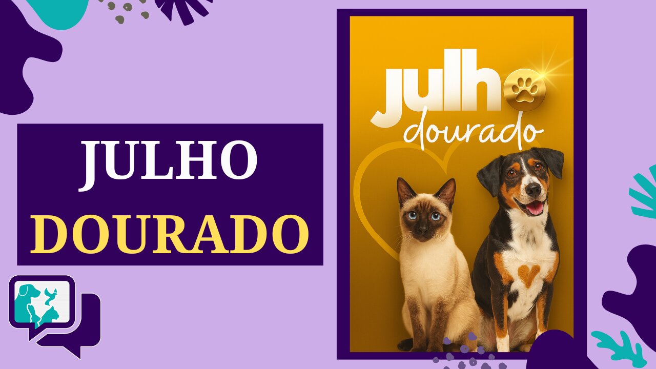 Julho Dourado: Vacinas, Amor e Responsabilidade com os Pets