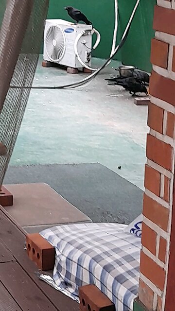 20250624. I believe God.