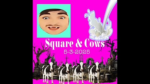 5-3-2025 Square & Cows