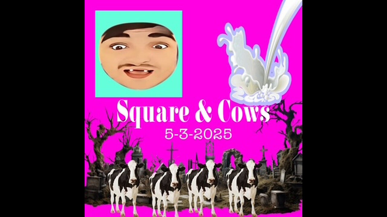 5-3-2025 Square & Cows