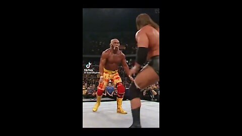Hulk Hogan tribute 9