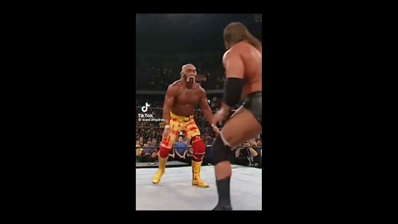 Hulk Hogan tribute 9