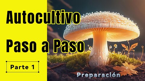 Autocultivo de Hongos Paso a Paso - Parte 1 Preparación