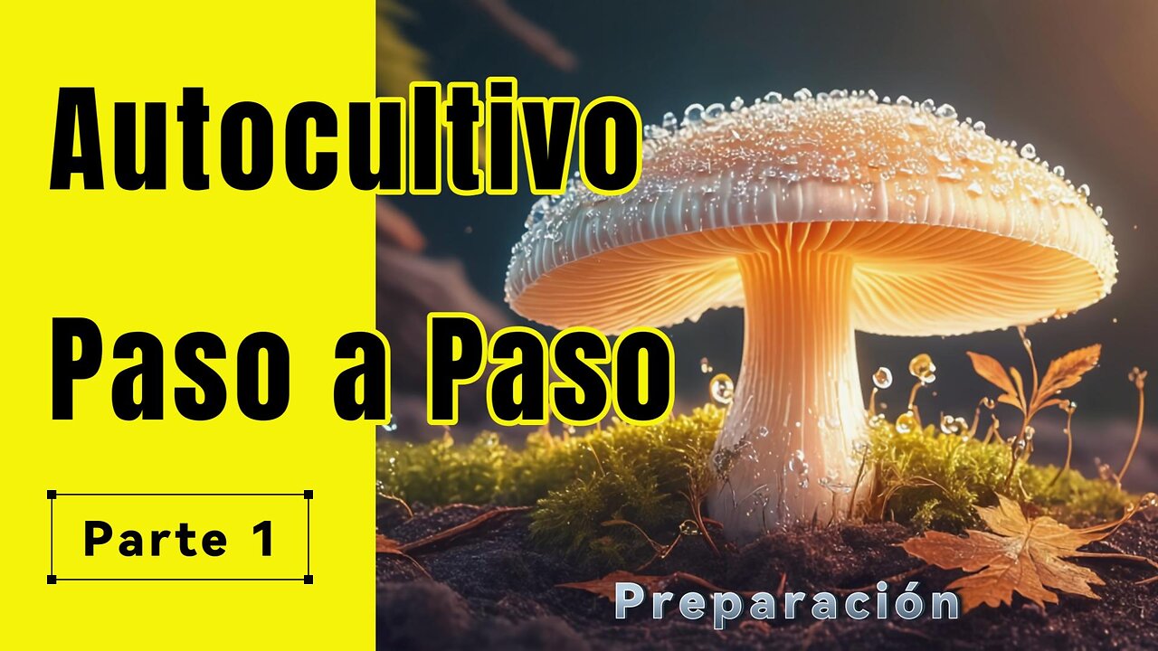 Autocultivo de Hongos Paso a Paso - Parte 1 Preparación