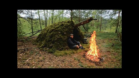 Crafting a MOSS-Covered Survival Shelter from a Downed Tree in the Woods