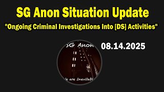 SG Anon Aug 14: "Ongoing Criminal Investigations Into [DS] Activities"