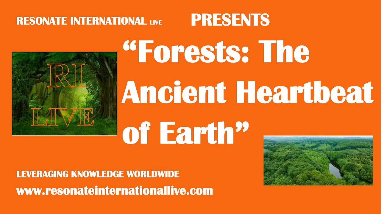 “Forests: The Ancient Heartbeat of Earth”
