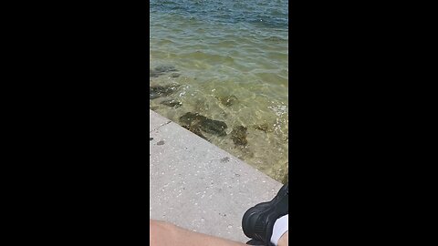 Chillin.....
