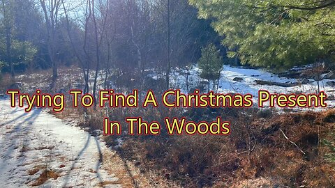 Bird Hunting- Christmas Present?