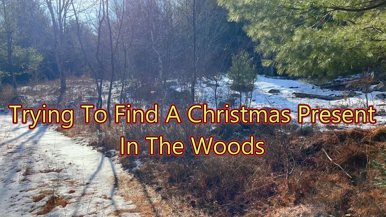 Bird Hunting- Christmas Present?